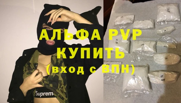 мет Алексин